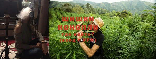 ешки Белокуриха