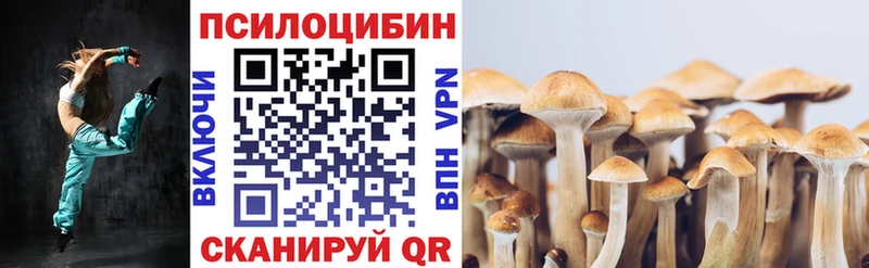 Псилоцибиновые грибы Cubensis  Купить  Орехово-Зуево 