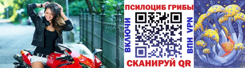 Галлюциногенные грибы прущие грибы Орехово-Зуево